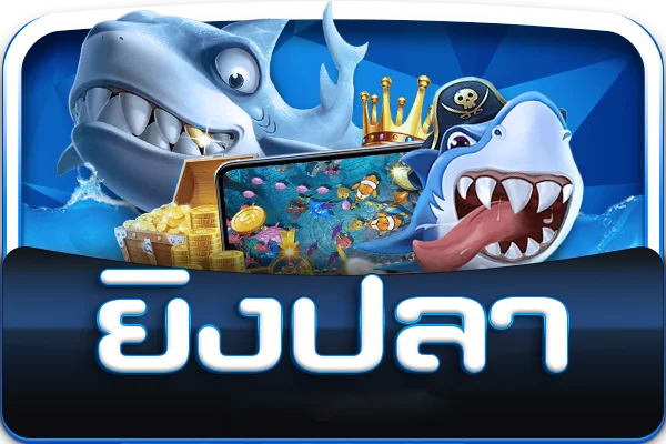 zonic24 slot